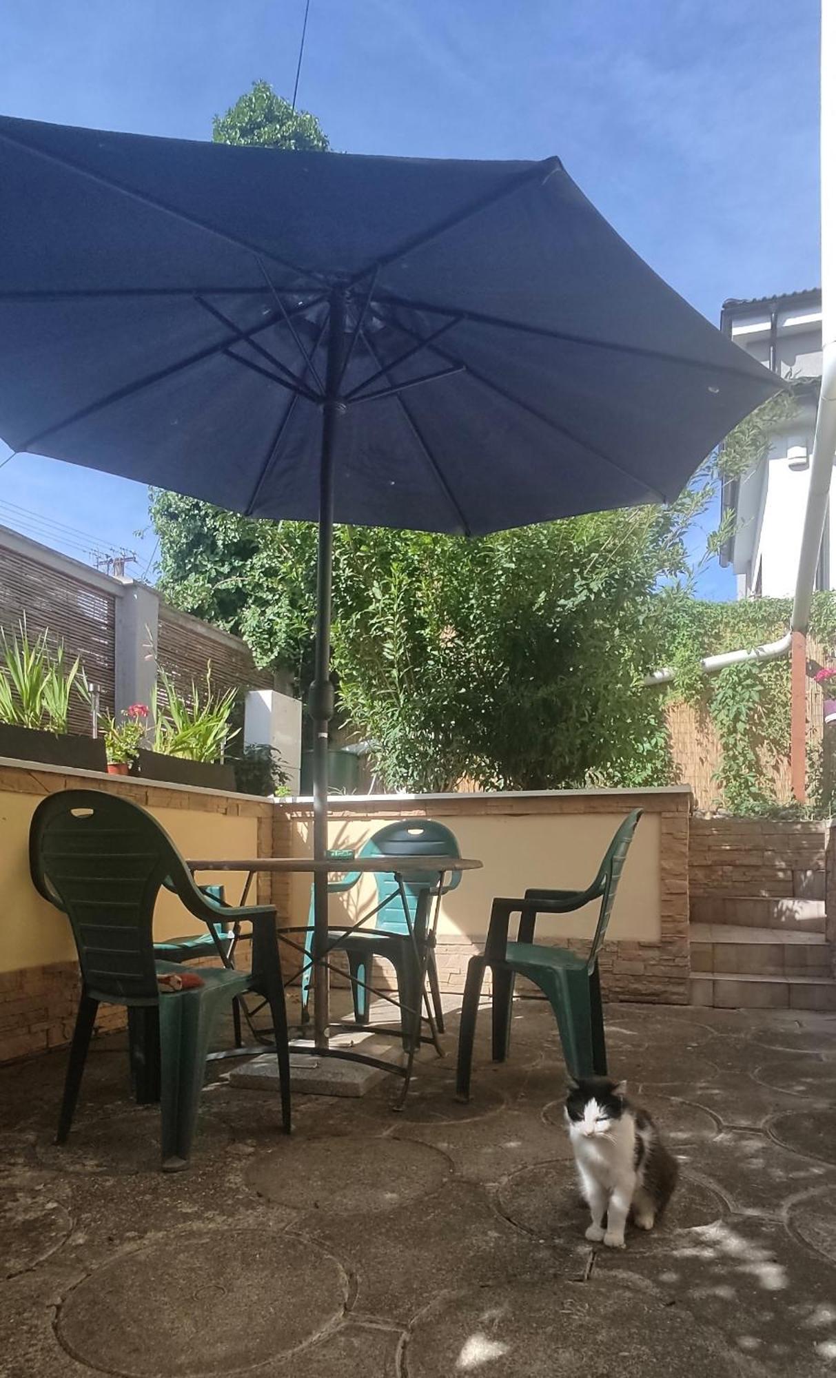 Privat 2 Na Sihoti Apartment Trencin Exterior photo